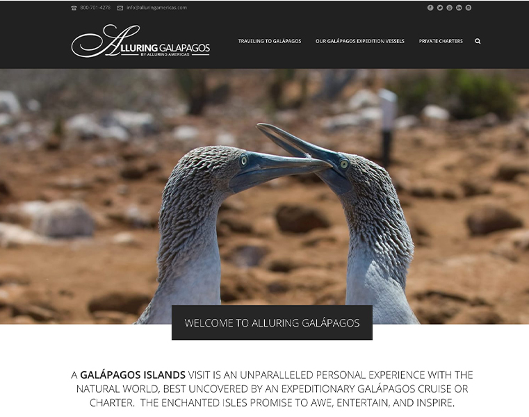dywp_0000_Alluring-Galápagos-–-For-the-ultimate-encounters-with-wildlife--explore-the-Galápagos-Islands-on-a-luxury-Ga