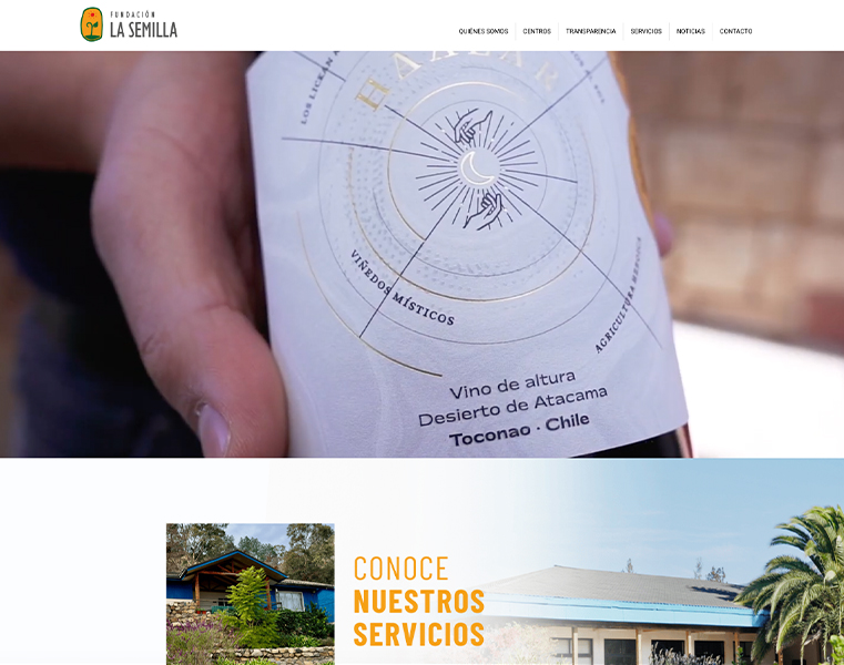 dywp_0002_Screenshot 2025-07-15 at 08.27.08